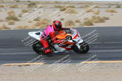 media/Jan-19-2024-Apex Assassins-CVMA Friday (Fri) [[74e94f2102]]/Trackday 1/Session 2 (Turn 12 Inside)/